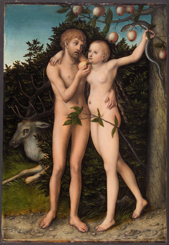 Objektvorschau